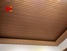TRẦN NHỰA PVC 2
