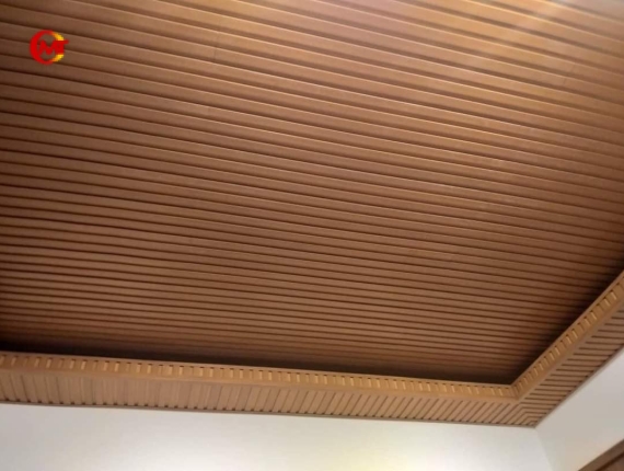 TRẦN NHỰA PVC 2